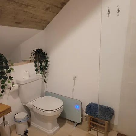 Casa Del Museo - Agua Apartment Medina-Sidonia